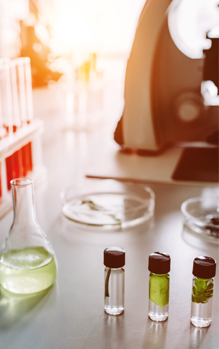 Laboratory equipment. Microscope, test tubes, Petri dish, flask.